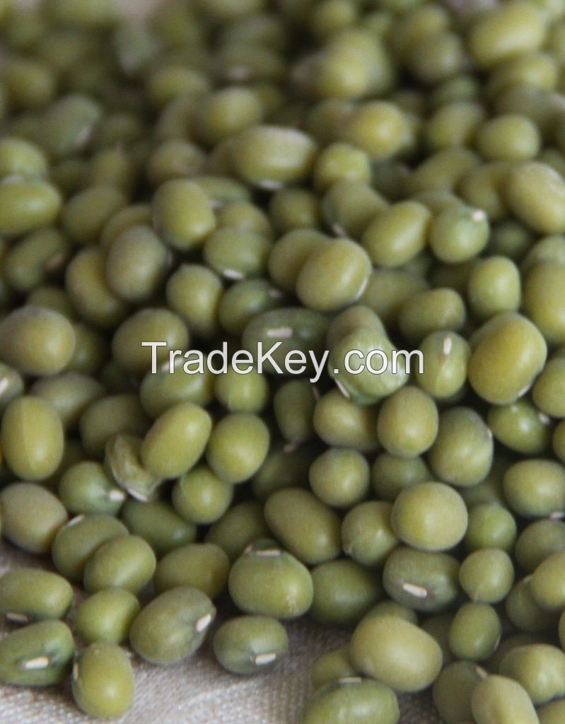 Green Mung Beans