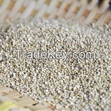 High quality Chenopodium quinoa grain