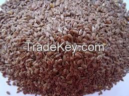 Prime qualtiy Brown Flax Seeds