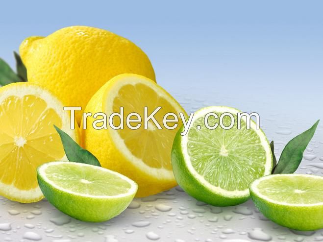 High Quality New Style Natural Instant Lemon Tea Powder