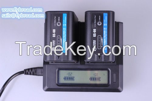 Excellent Dual-Port DV Battery Charger