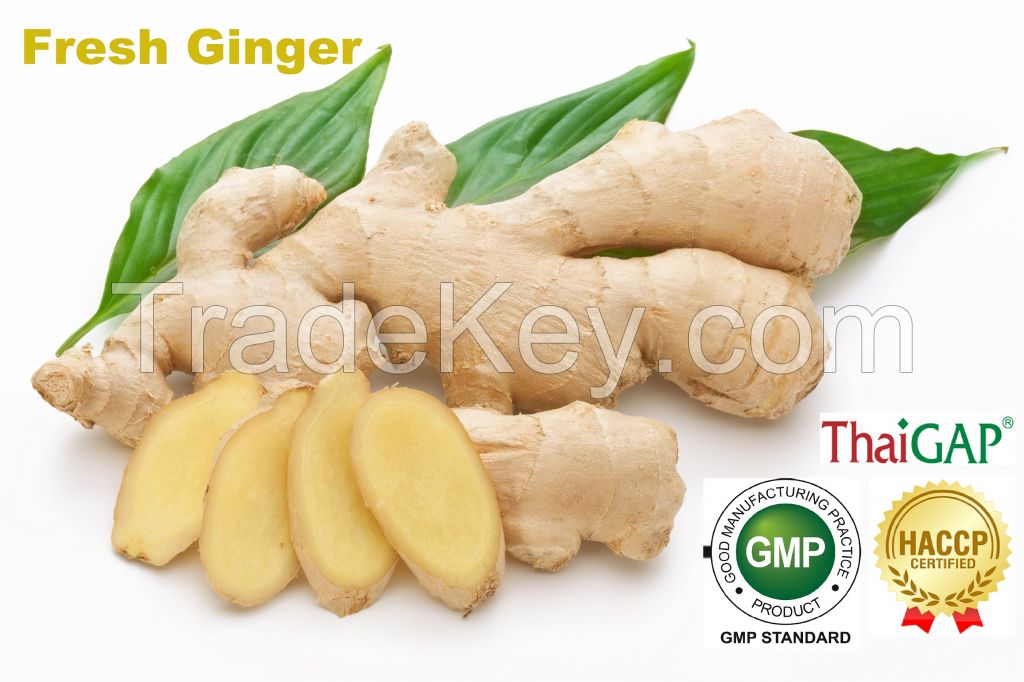 Fresh Ginger