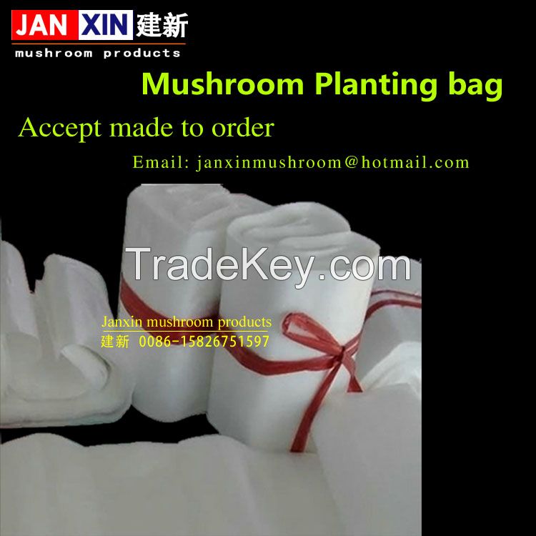 pleurotus oyster mushroom cultivation plastic bags