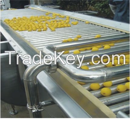 sell fruit sorter