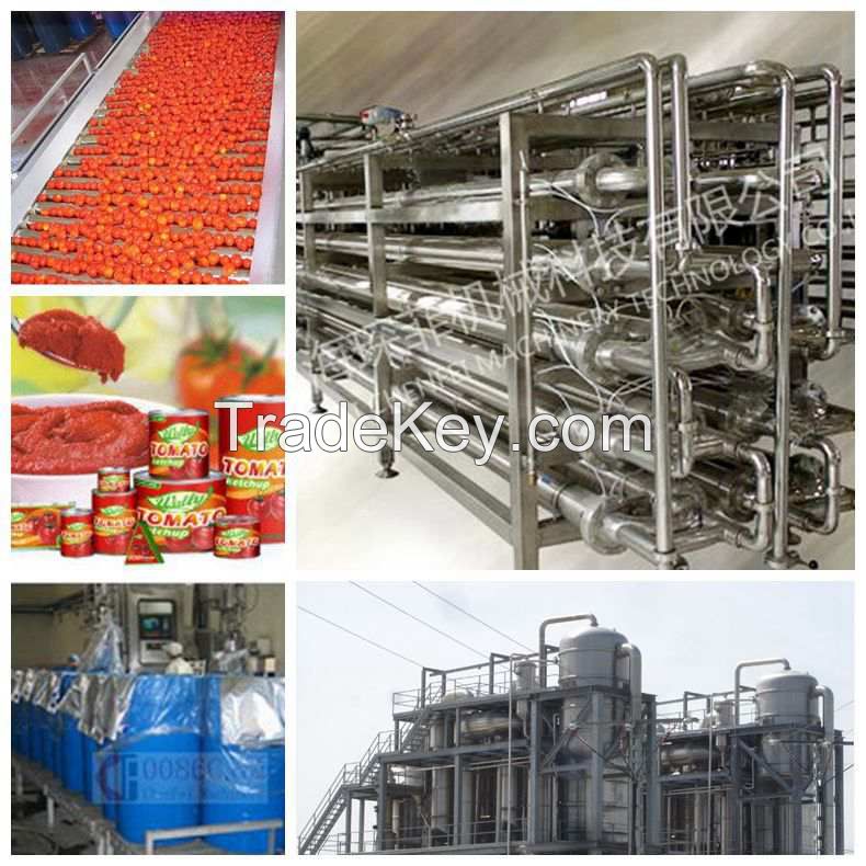 sell tomato paste production line, tomato processing plant, tomato machine