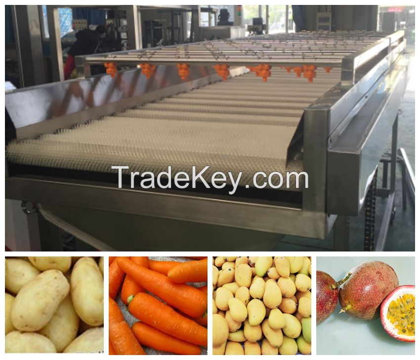 sell brush and spray type cleaning  machine for fruit