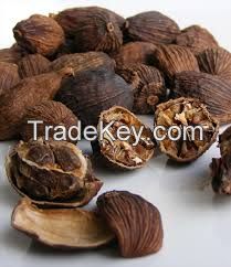 Black cardamom natural cultivation for wholesale (Skype: hanfimex08)
