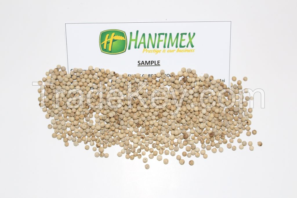 Vietnam White pepper 630g/l competitive price for importers (Skype: hanfimex08)