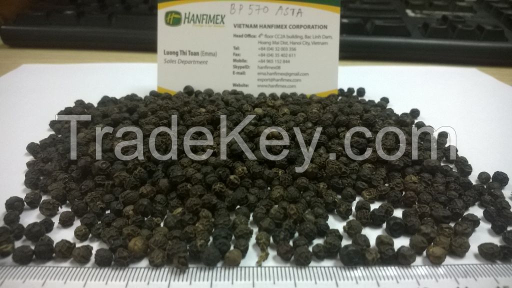 Vietnam Black Pepper 500G/L CLEAN High Quality Seller (Skype: hanfimex08)