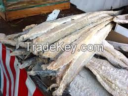 Cheap Premium quality seafood and frozen norway stockfish