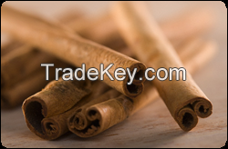 cinnamon -  true Ceylon cinnamon