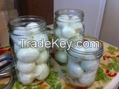 canned quail eggs/eggs/quail eggs