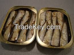 Canned sardine canned mackerel canned tuna canned fish canned seafood