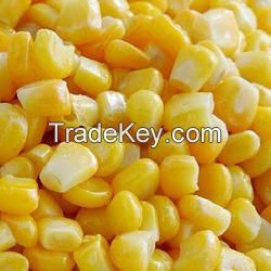 Frozen Sweet Corn Kernel High Quality