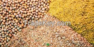 Meat & Bone Meal, Palm Kernel Cake, Fish Meal, Soybean Meal, Feed Barley, Animal Feed, Sunflower Cake