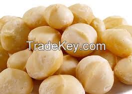 Macadamia nuts wholesale