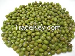 High quality green mung bean