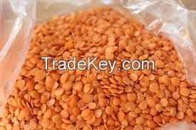 Dried Green Lentils, Red Lentils