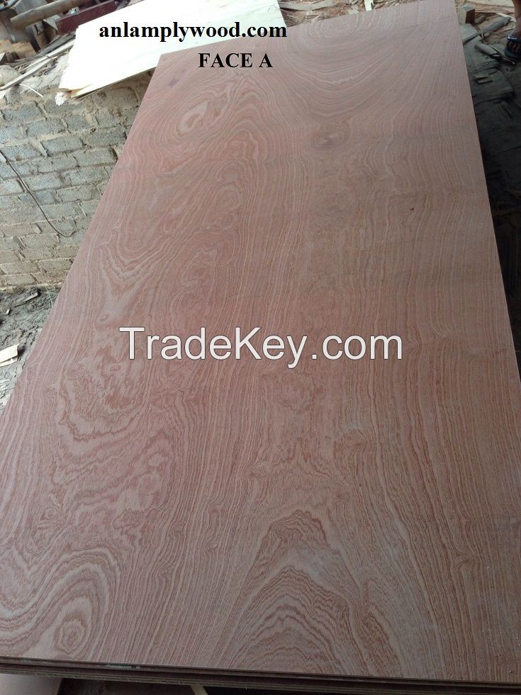 Selling best quality plywood at super good price