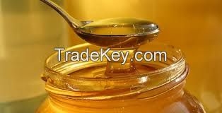 100% Natural Bee Honey for Retail and Wholesale