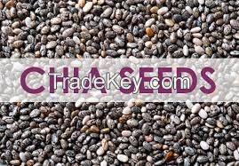 Availabe stock of Chia Seeds