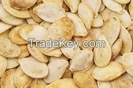 Pumpkin Seed Kernels