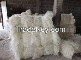 Sisal Fiber UG and SSUG Grade