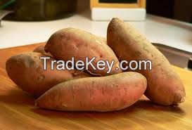 Plastic sweet potato for wholesales