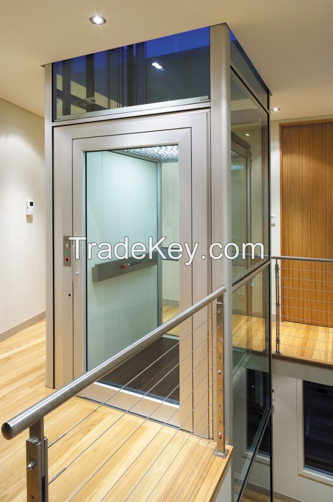 Delfar villa elevator with cheap price