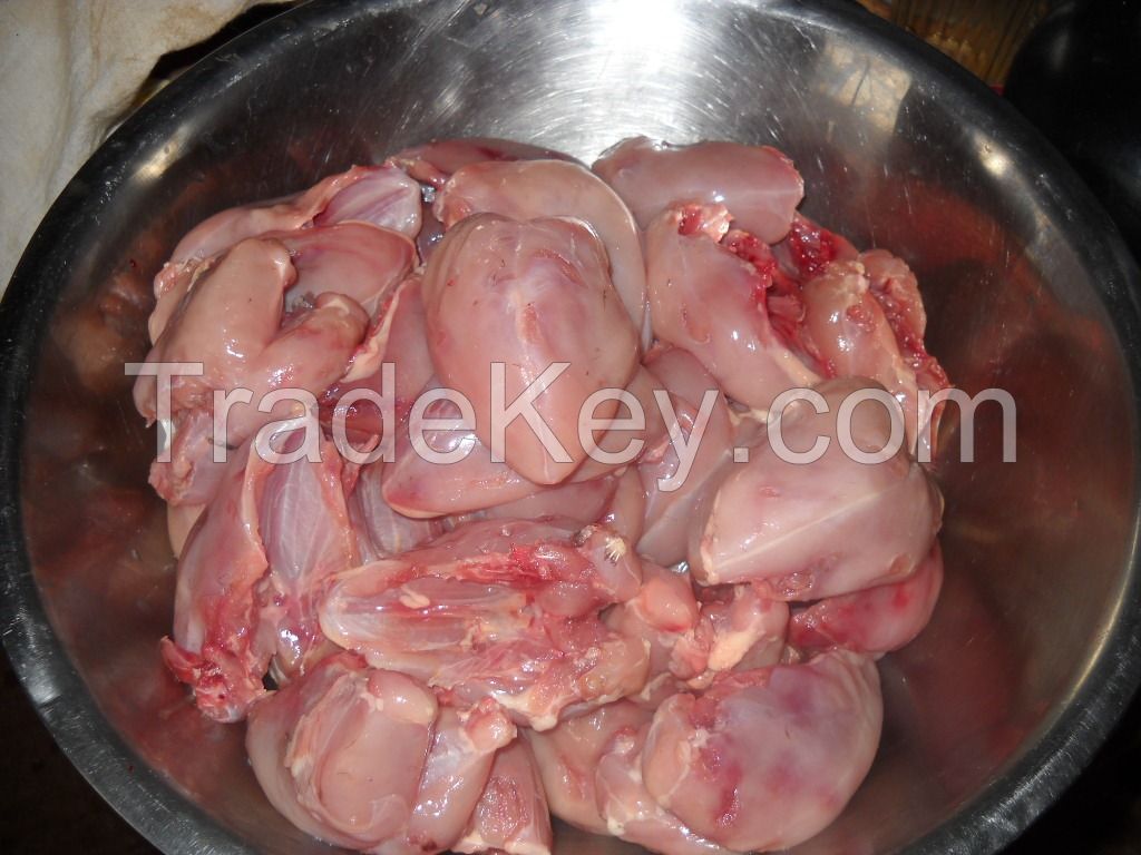 Huge fertile quail eggs/quail meat available