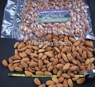 High Quality Almond  Nuts with Cheap Price