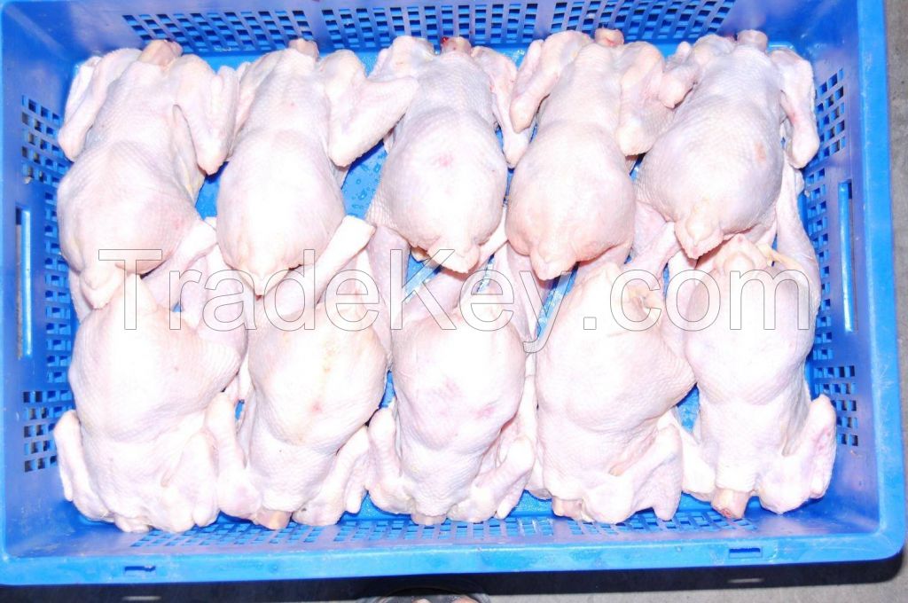 FROZEN WHOLE CHICKEN AND CHICKEN PARTS