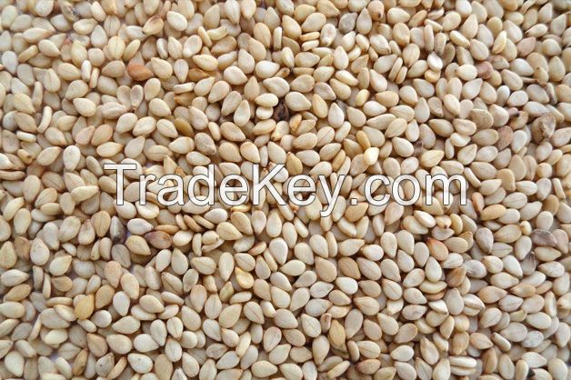 Sesame seeds exporters