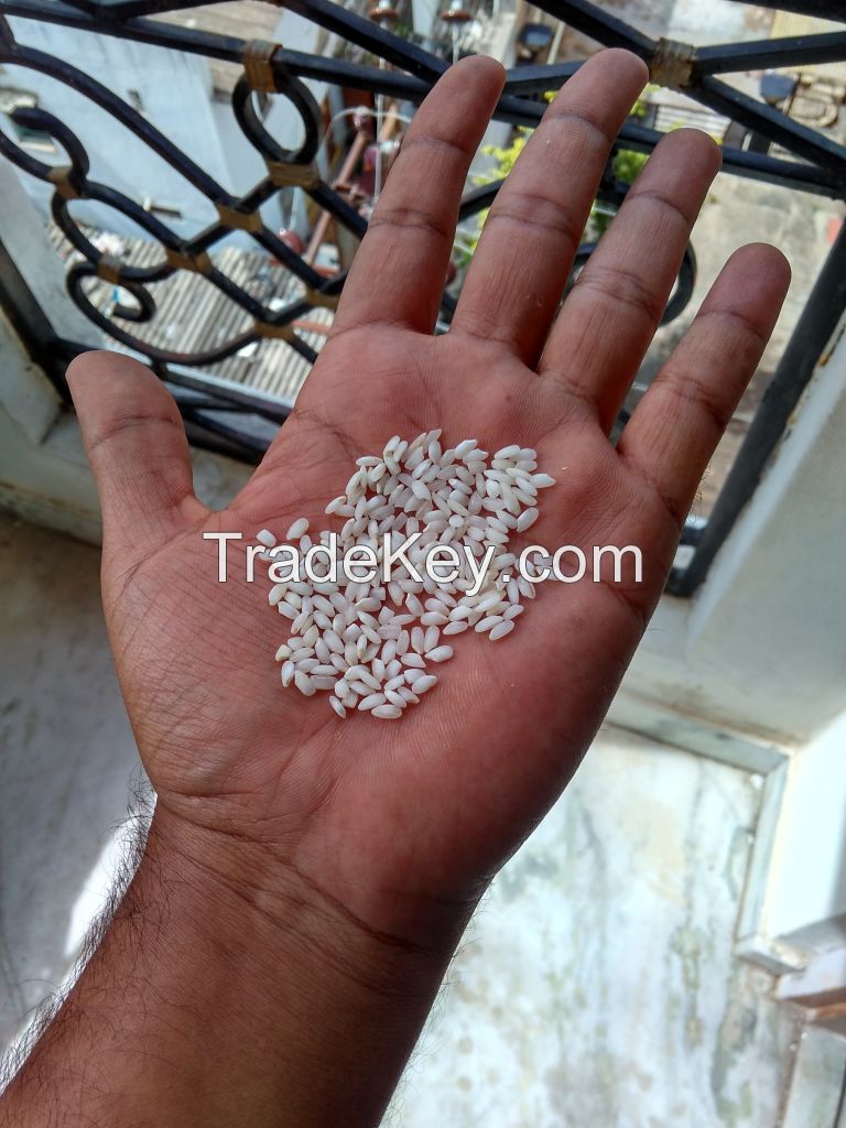 Indian Medium Round Grain Rice