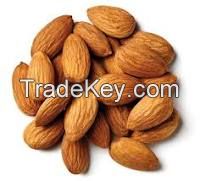 Sell Almonds