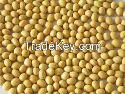 Custom Commodities LLC Non GMO Soybean Variety 389