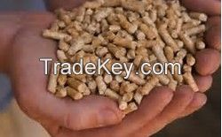 DIN+ Wood Pellets for sale