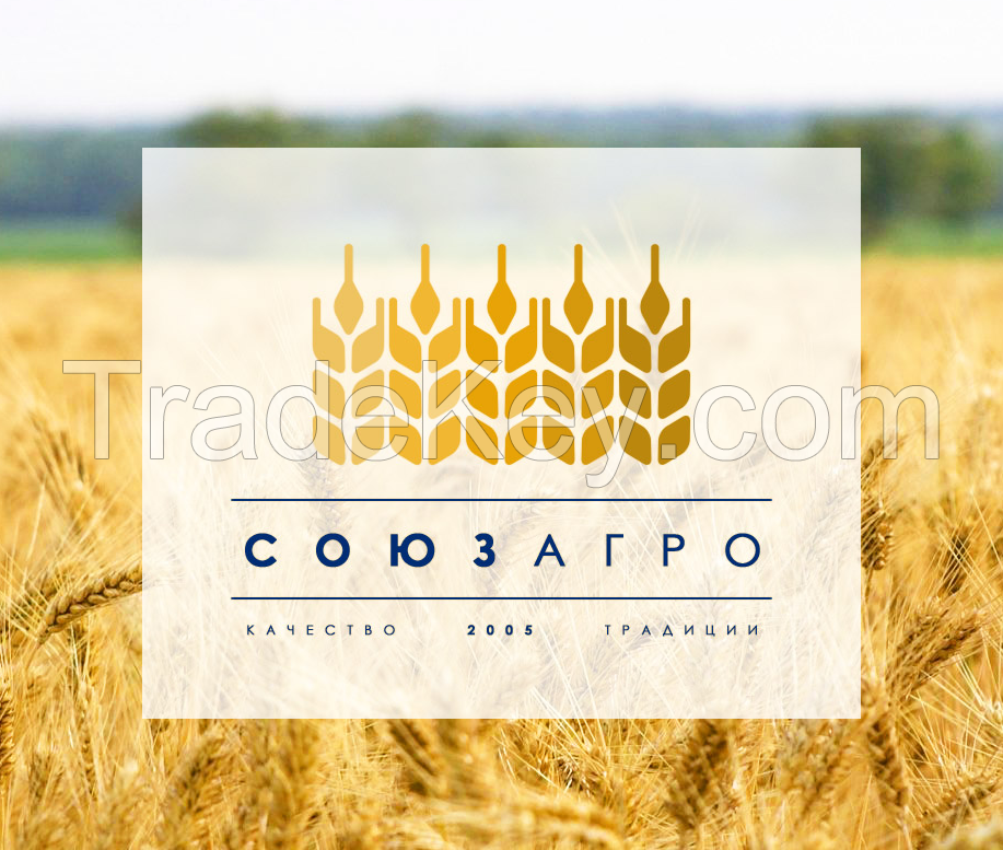 Fresh wheat 2015, 5000-100000 MT, grade 3, producer
