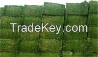 We Supply Alfalfa Hay Bale Grade A in Large and Small Quantity