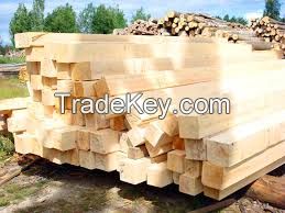 Timber Log / Sawlogs / Wood Round Logs / LARCH/BIRCH/SPRUCE/PINE READY for EXPORT