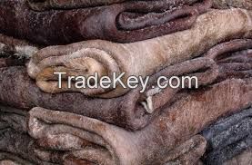 Dry and Wet Salted Donkey/Wet Salted Cow Hides /Cow Head Skin