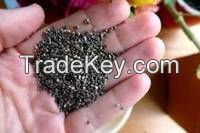 Cumin Seeds, Chia Seeds, Ssame Seeds, Pumpkin Seeds, Sunflower Seed