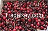 Fresh Cherry Fruit