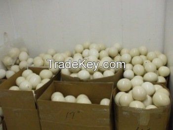 Grade AA Table eggs white and brown for sale in bulk