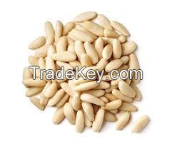 Sell Pine Nuts