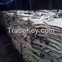 Cow Salted Hides