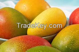 Fresh Mangos