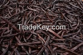 VANILLA BEANS FROM SOUTH AFRICA