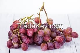 FRESH RED GLOP GRAPES