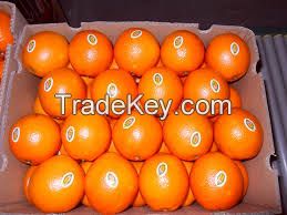 DELICIOUS NAVEL ORANGES